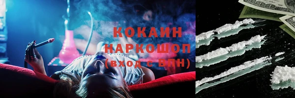 хмурый Арсеньев