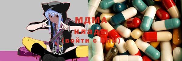хмурый Арсеньев