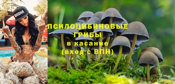 каннабис Аркадак