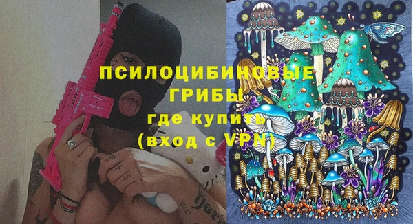 хмурый Арсеньев
