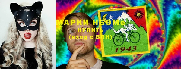 хмурый Арсеньев