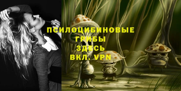 хмурый Арсеньев