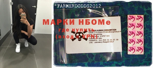 хмурый Арсеньев